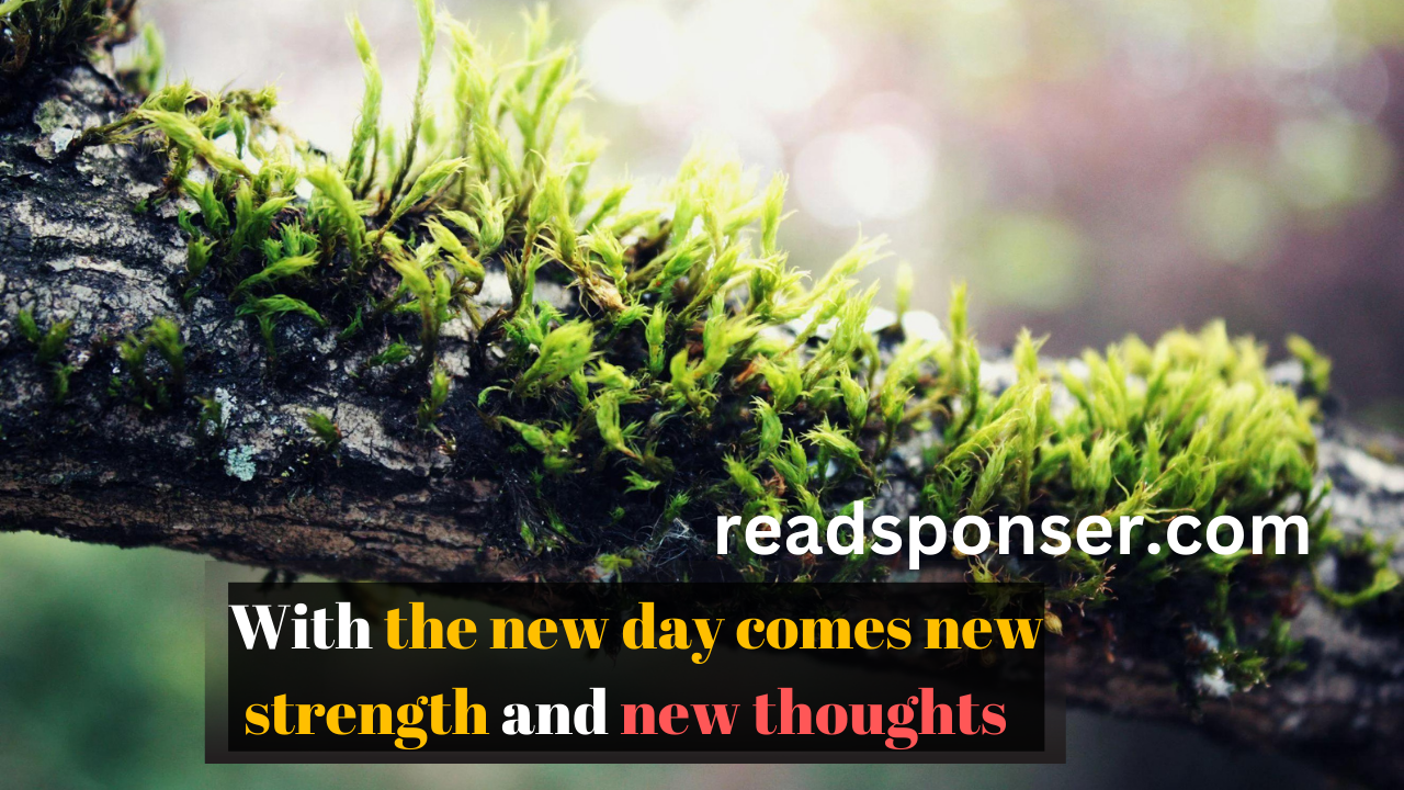 With the new day comes new strength and new thoughts. – Eleanor Roosevelt