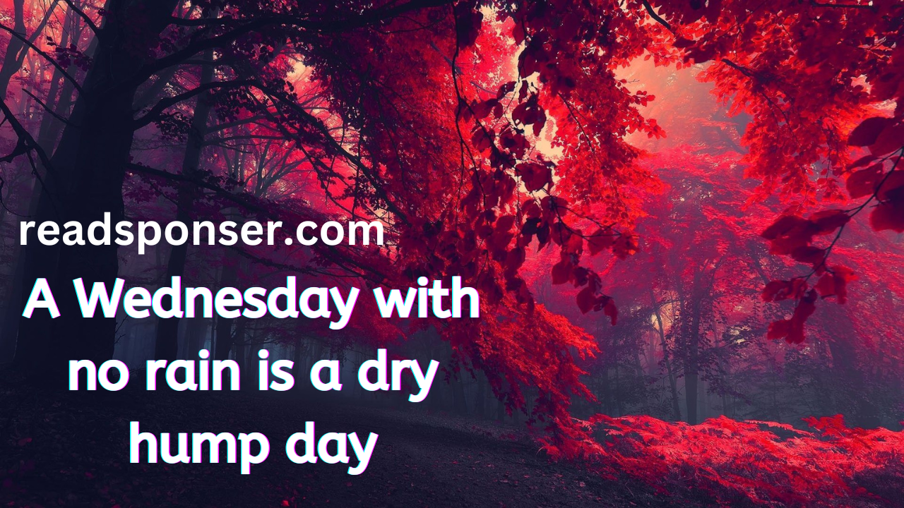 A Wednesday with no rain is a dry hump day-
