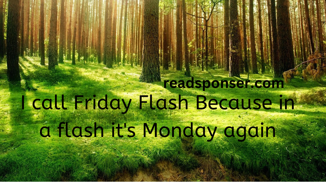 I call Friday Flash Because in a flash it's Monday again