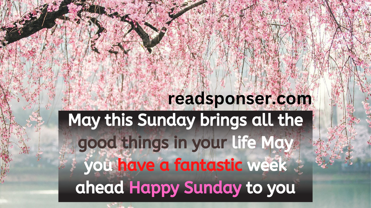 May this Sunday brings all the good things in your life. May you have a fantastic week ahead. Happy Sunday to you!