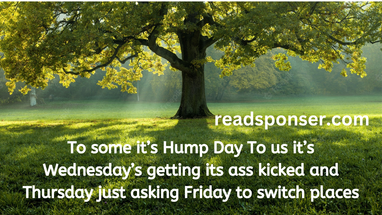 To some, it’s Hump Day To us, it’s Wednesday’s getting its ass kicked and Thursday just asking Friday to switch places