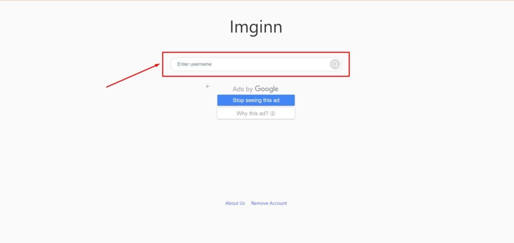 imginn search bar