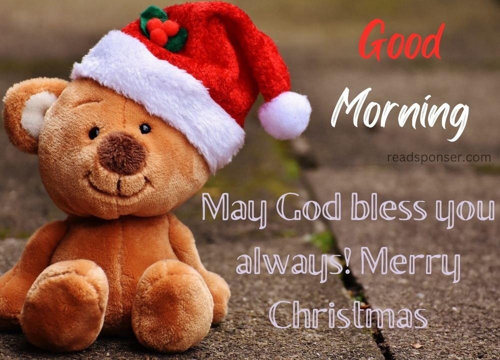 A Pleasing teddy with hat of santa is giving you a message of good christmas morning