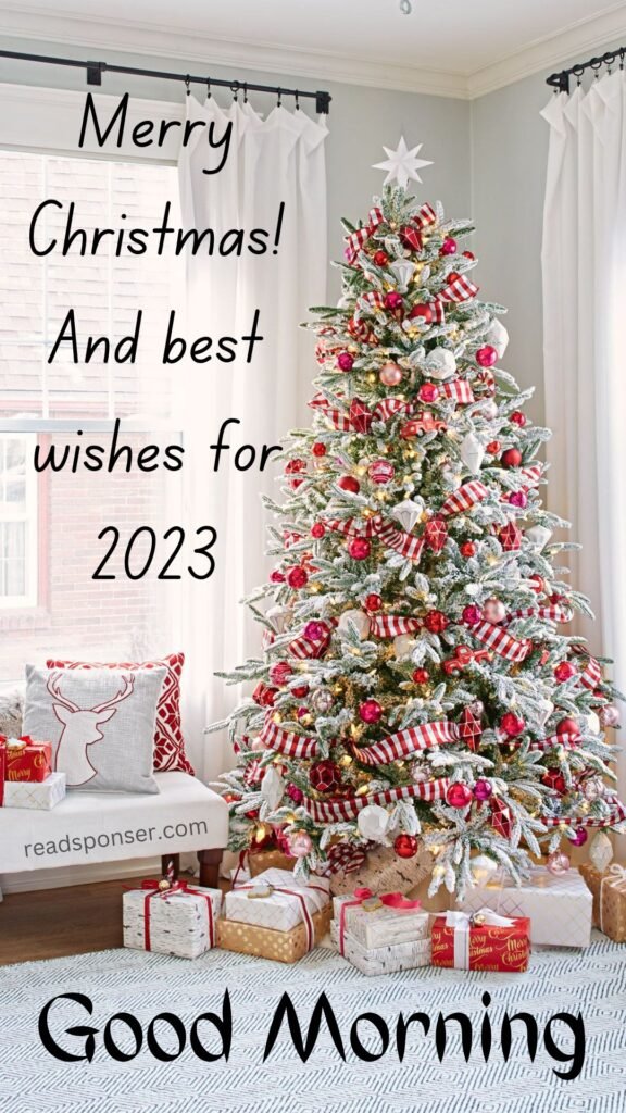 A attractive christmas tree with some beautiful gifts wishing you a great christmas morning
