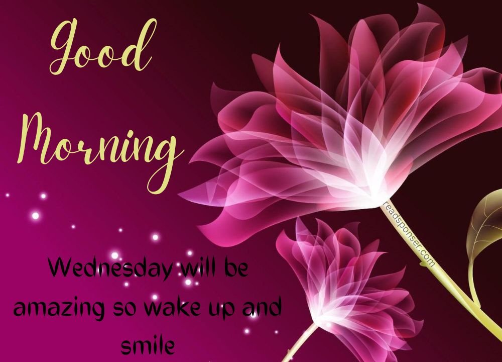 A attractive picture with two lovely flower painting with a message of good morning in this fresh wednesday morning