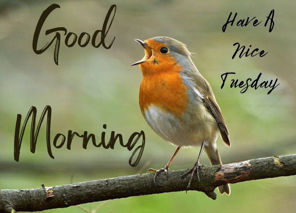 A beautiful bird is sitting on the root of the tree in the fresh tuesday morning