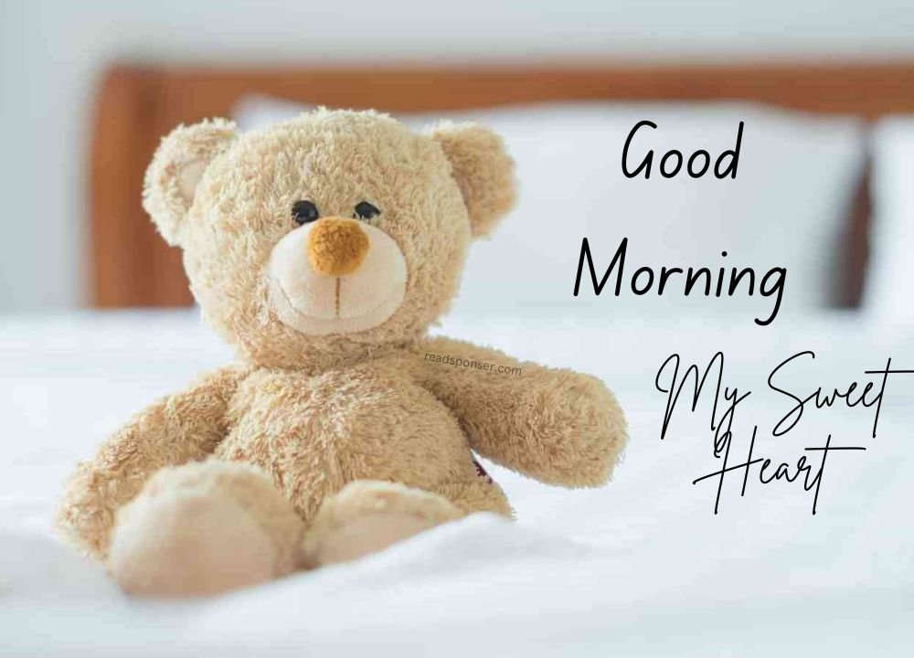 A beautiful teddy lies on the bed in the tuesday morning