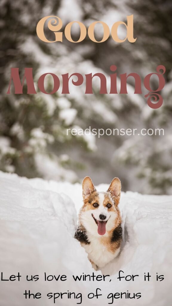 A cute doggy in this picture is sitting on the snow and looking towards you in this winter morning