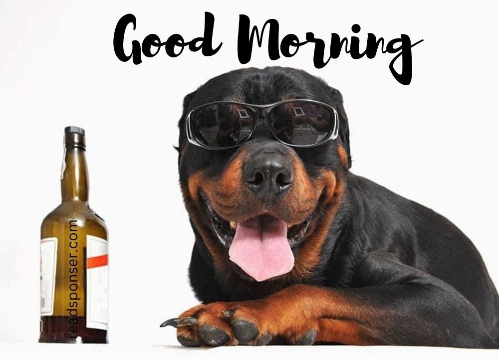 A doggy with goggles and a bottle of whisky is wishing you a funny good morning