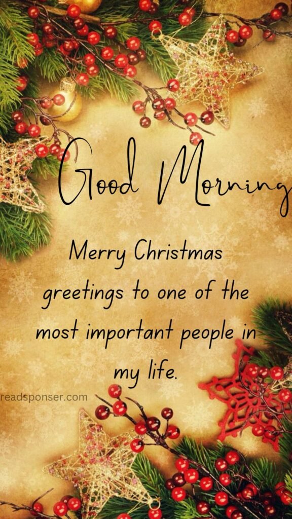 A great message to you in this christmas morning some christmas tree's berries in this morning