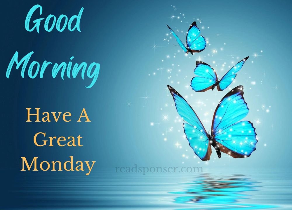 A great picture with three flying butterflies and blue colored background messaging you to start you wonderful monday morning