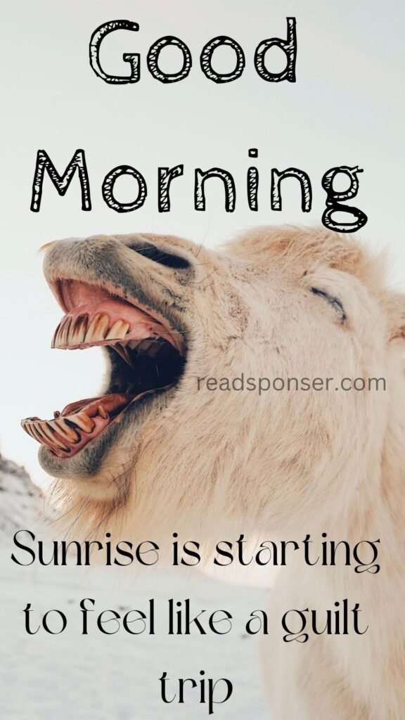 A horse with sharp teeth is neighing and making the funny good morning