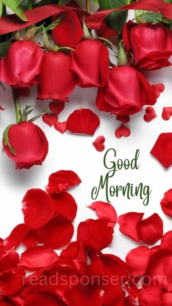 A lovely picture with red roses and a message of good morning is messaging you to have a good wednesday morning