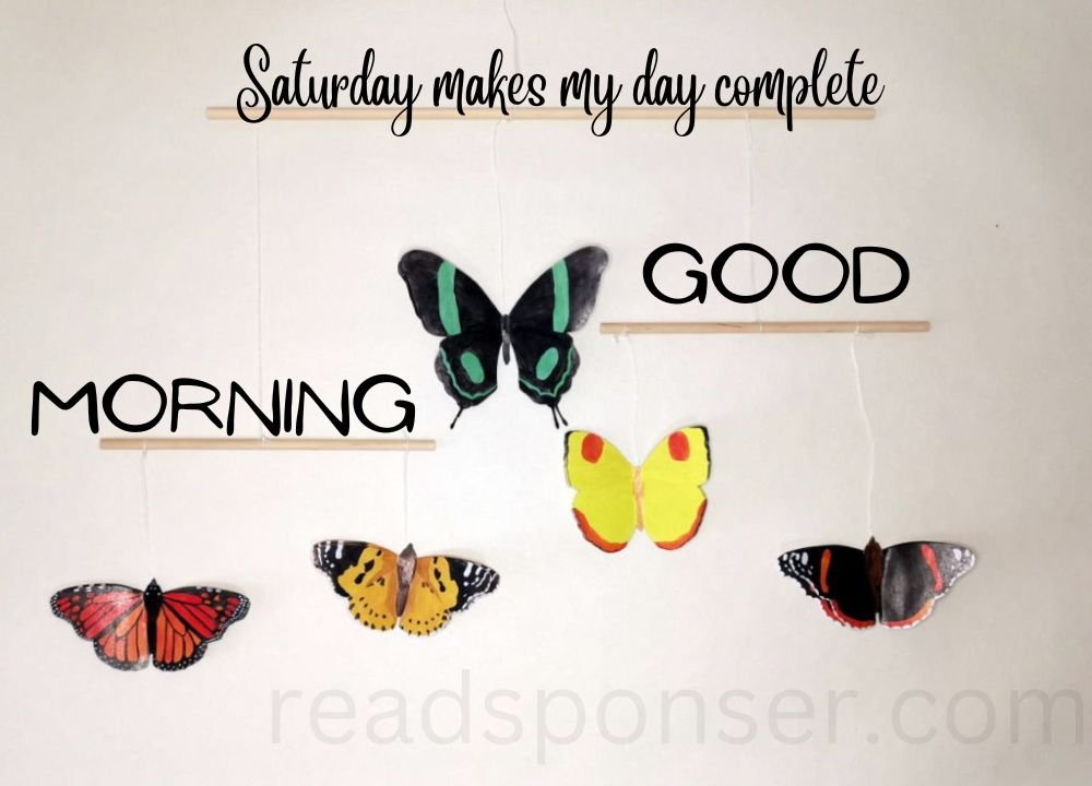 Some butterflies, they have many colors on their skin and a message of good morning to make a perfect saturday morning