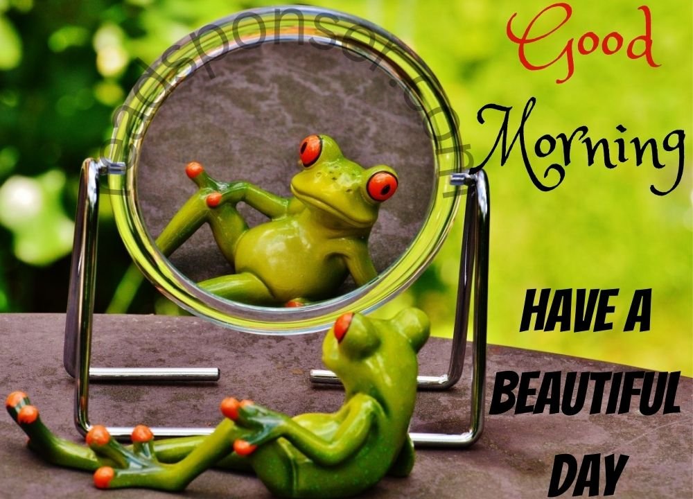 The frog is giving the pose in front of land is making the good morning funny
