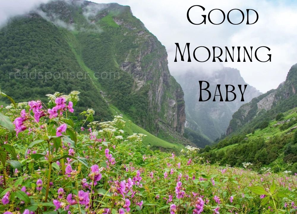 The mountains with plant on them and a wonderful scene is wishing you a great saturday morning