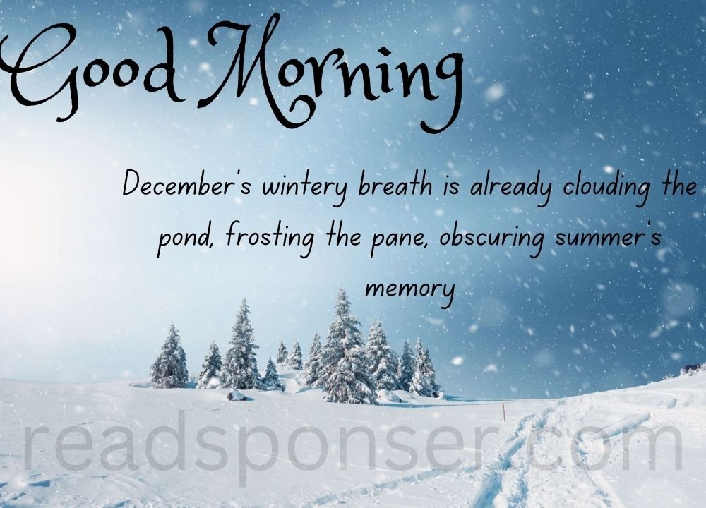 The snow falling in large area with clear blue colored sky is giving you a message of good morning