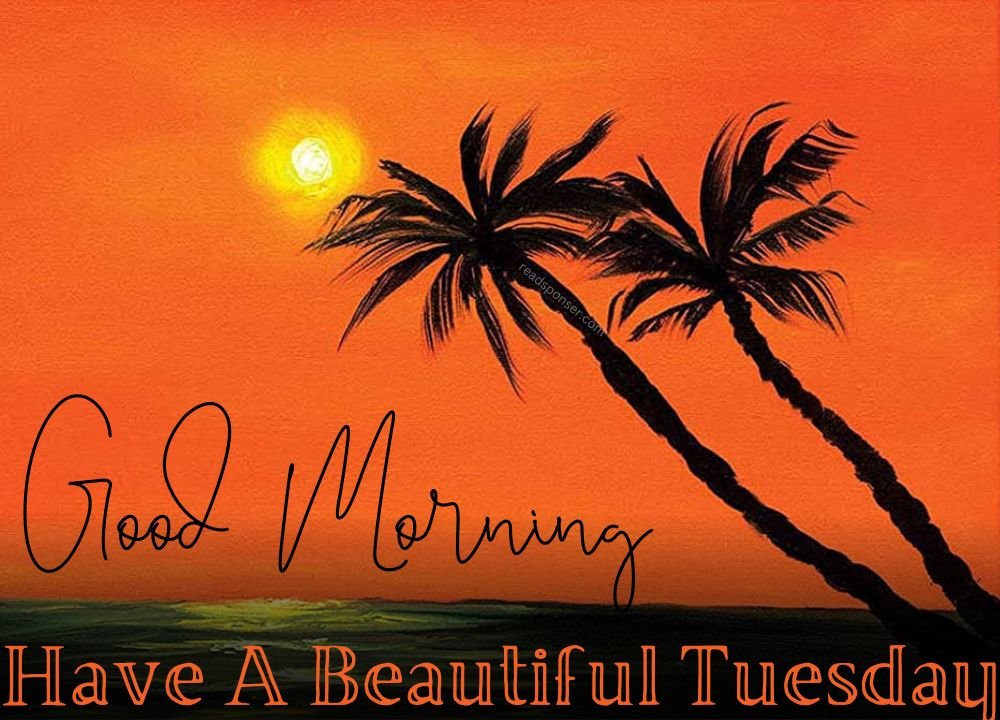 The sun is rising with colorful sky and two coconut trees in the bank of sea in the tuesday morning