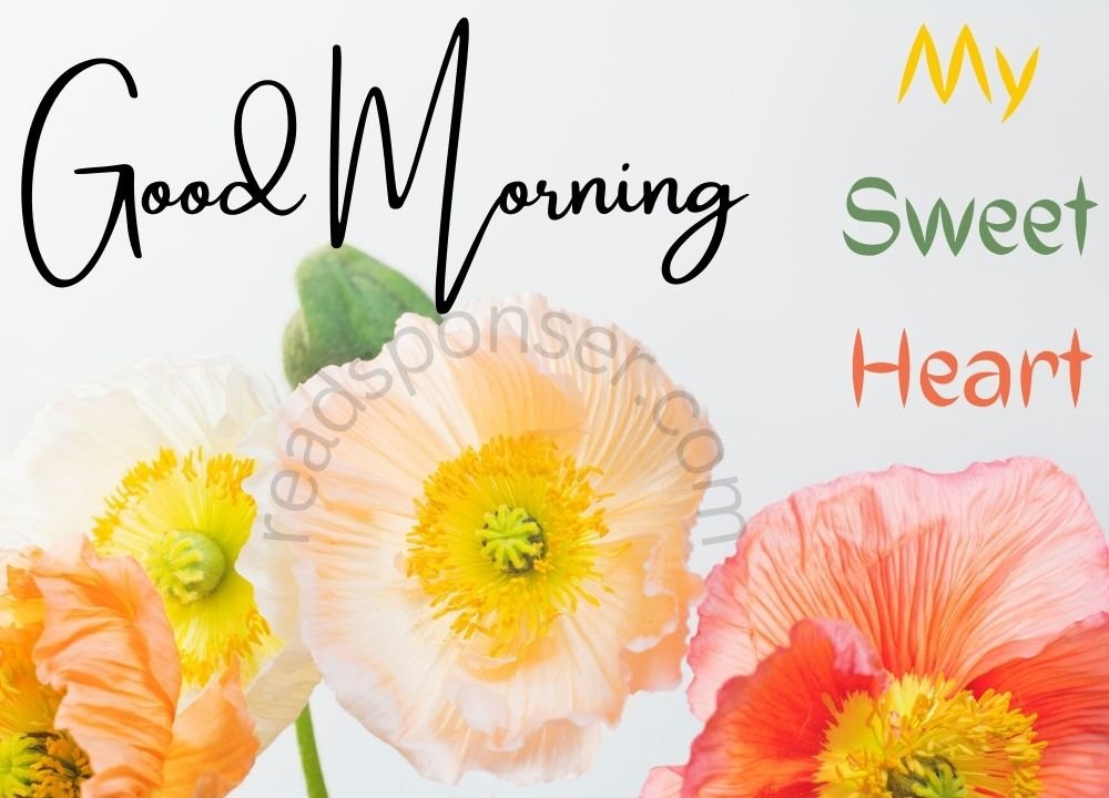 There are four colorful flowers and a sweet message of good morning message in this fresh thursday morning