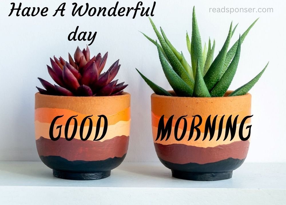 There are two planters with plant in them is wishing you a special morning