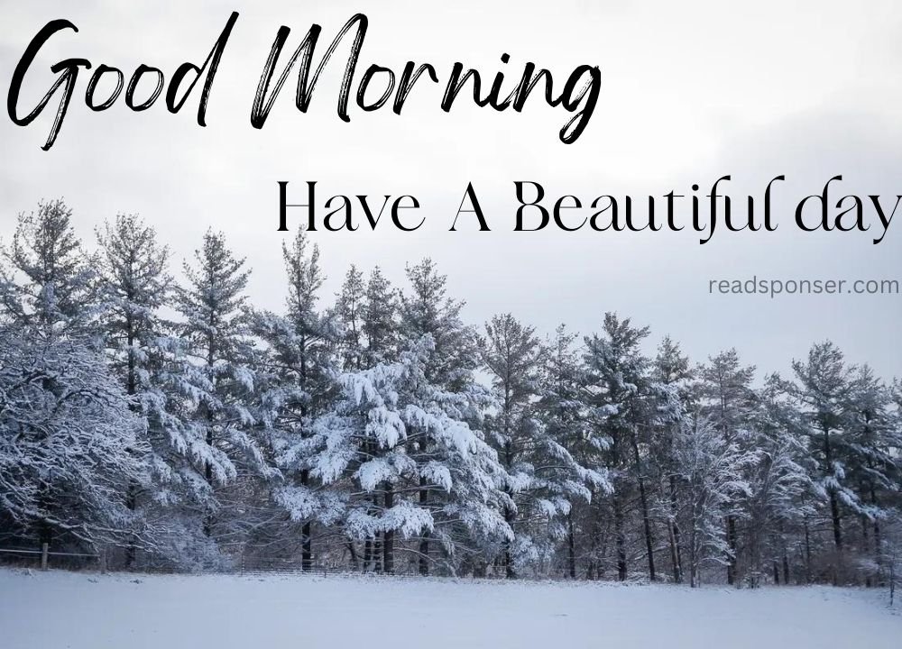 Trees are covered covered with the snow and the snow is on the land is wishing you to start a good winter morning