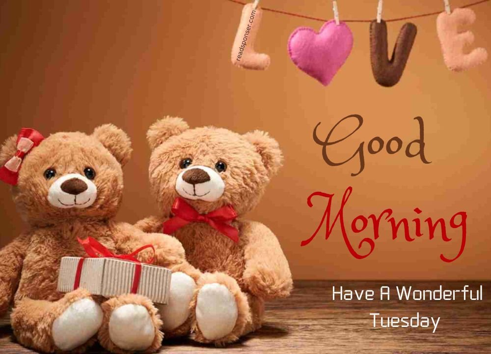 Two teddies with a message of love wishing you a very good tuesday morning