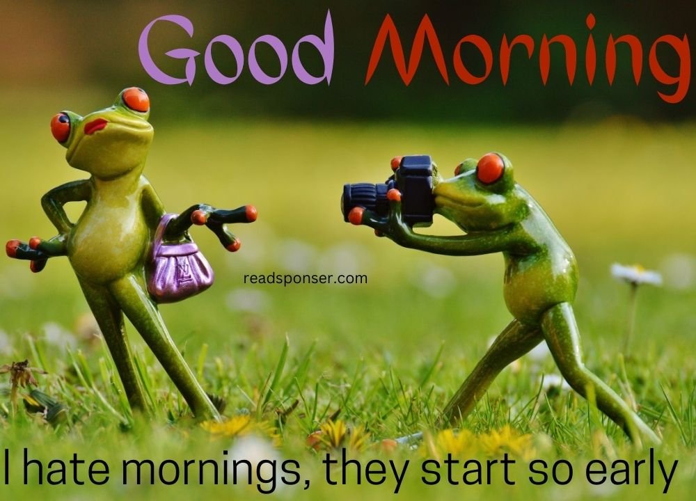 here two frogs are clicking the pictures of each other with poses is wishing you a funny morning